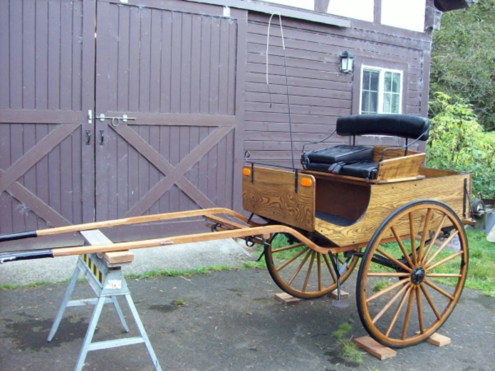 Custom Built Rustic Dog Cart