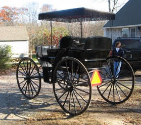 Surrey and Courting Buggy For Sale