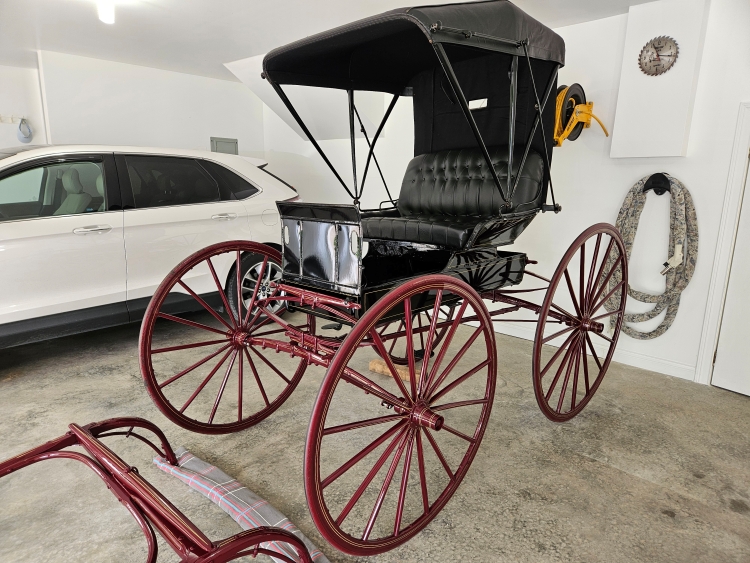 Blue Ribbon Durant-Dort Dr. Carriage