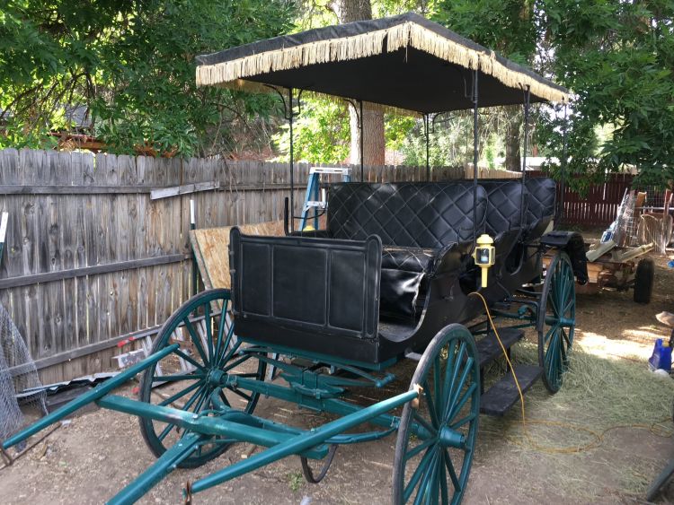 Three Seat Carriage